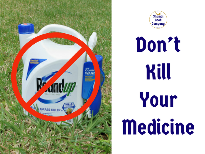 Five Common Weeds That Can Actually Be Medicine