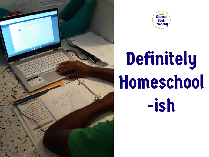 Our Homeschool-ish Experience